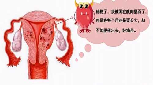允许代孕吗[广州精因宝贝如何],香港供卵试管流程、费用及成功率介绍