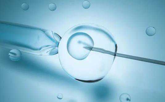 t怀p卵能成功吗,试管婴儿助孕中心：同性可以试
